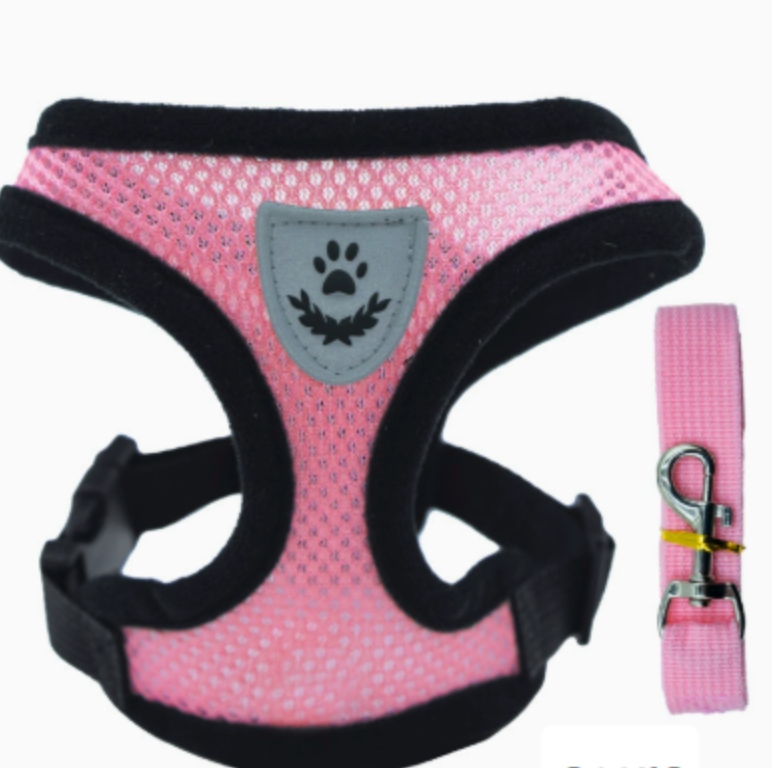 Anti-skidding cat harness